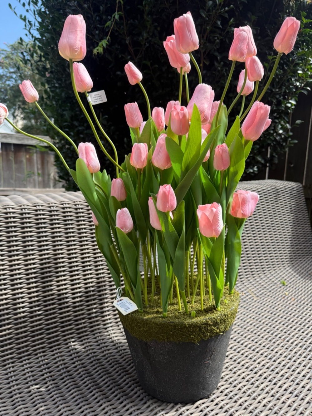 Frontgate Tulip Urn Filler - NWT